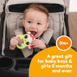Finlee The Frog Teether