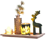 Gls Rustic Garden Set/5 W/tray
