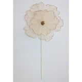 Sheer Magnolia Stem