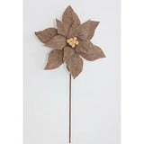 Poinsettia Stem