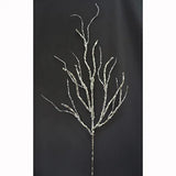 Birch Branch