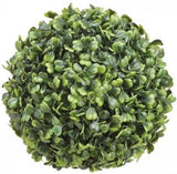 Boxwood Orb Gr