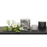 Classic Polka Dot Porcelain Pot Black/White